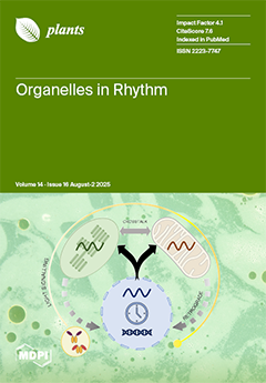 Issue Cover