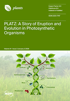 Issue Cover