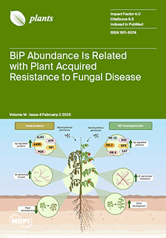 Issue Cover