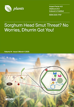 Issue Cover
