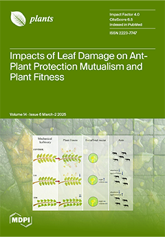 Issue Cover