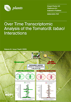 Issue Cover