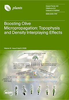 Issue Cover