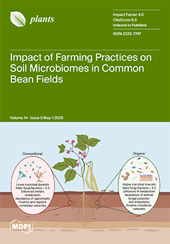 Issue Cover