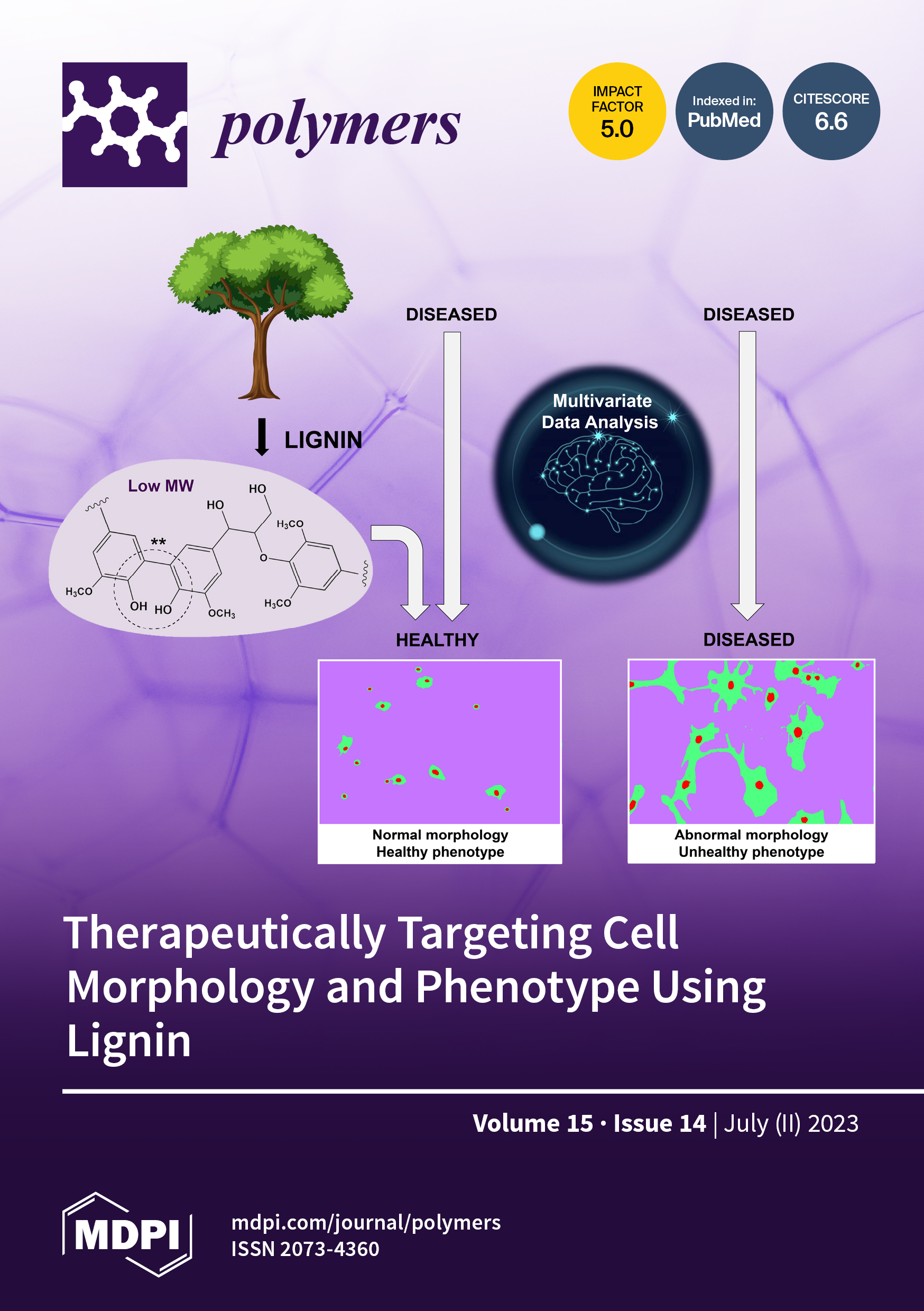 https://www.mdpi.com/files/uploaded/covers/polymers/big_cover-polymers-v15-i14.png