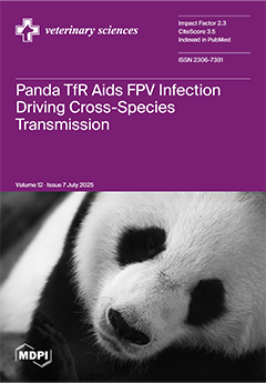 Issue Cover