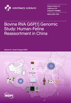 Issue Cover
