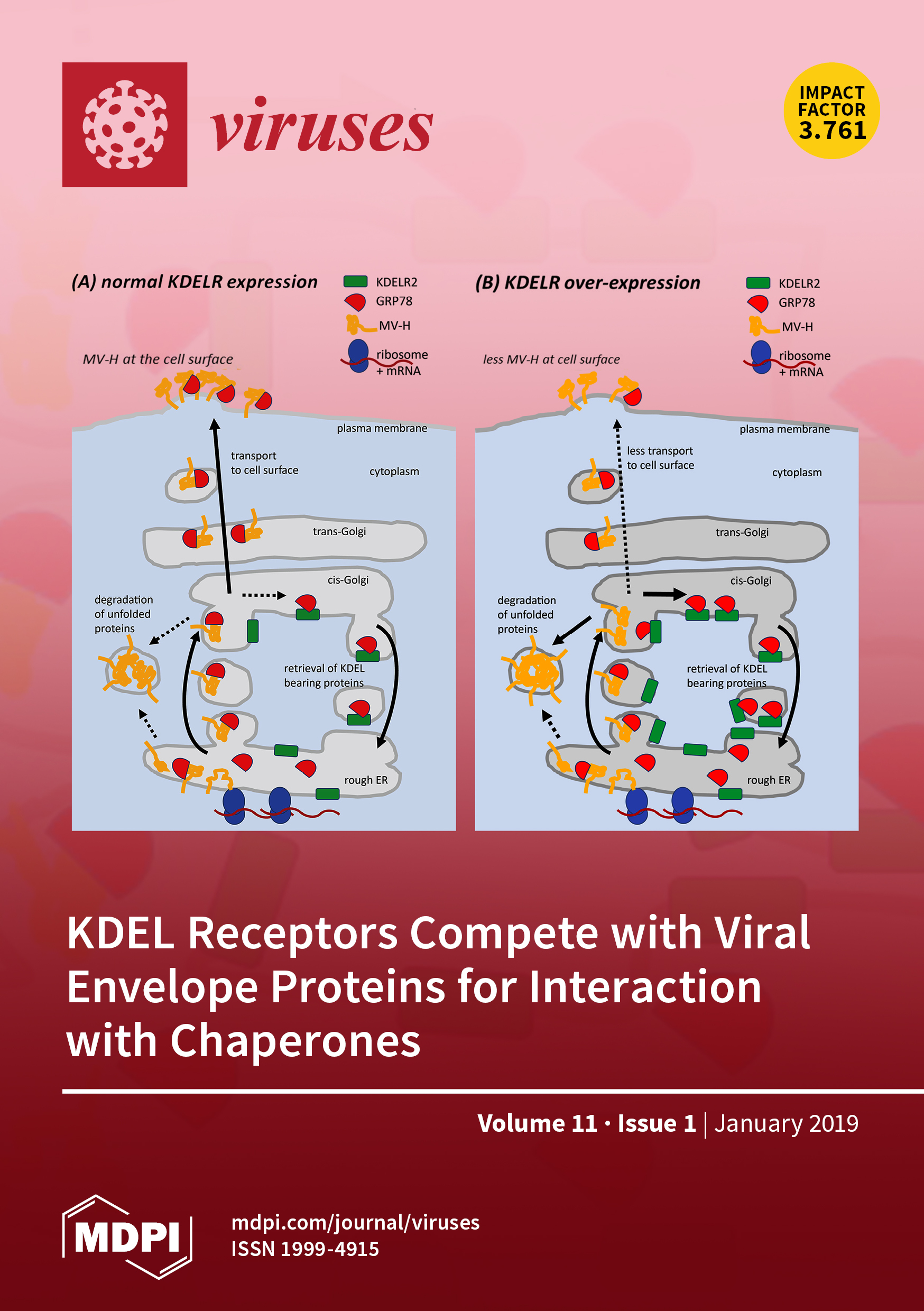 Viruses January 2019