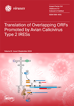 Issue Cover