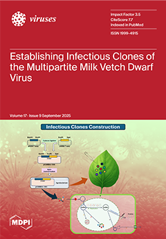 Issue Cover