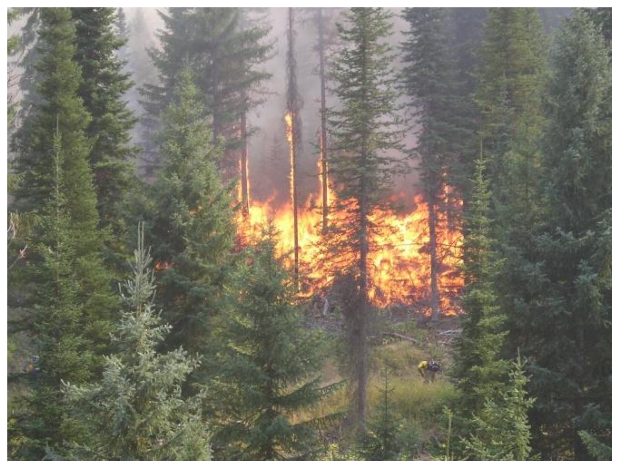 Fire 01 00010 g005