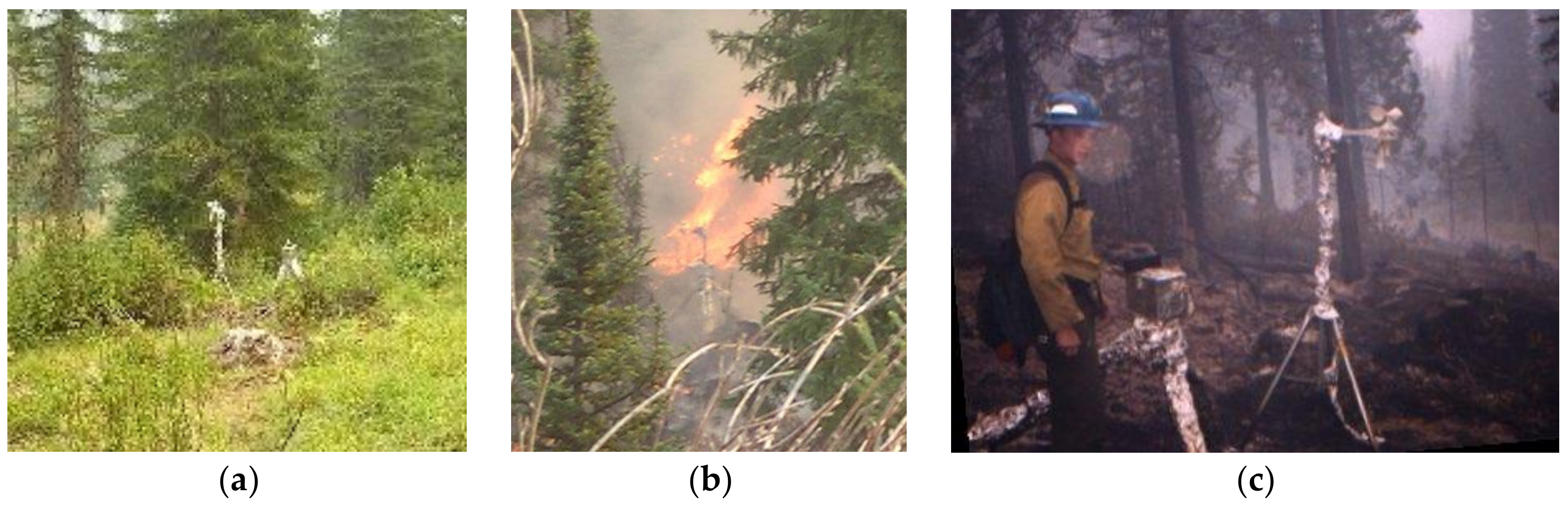 Fire 01 00010 g008