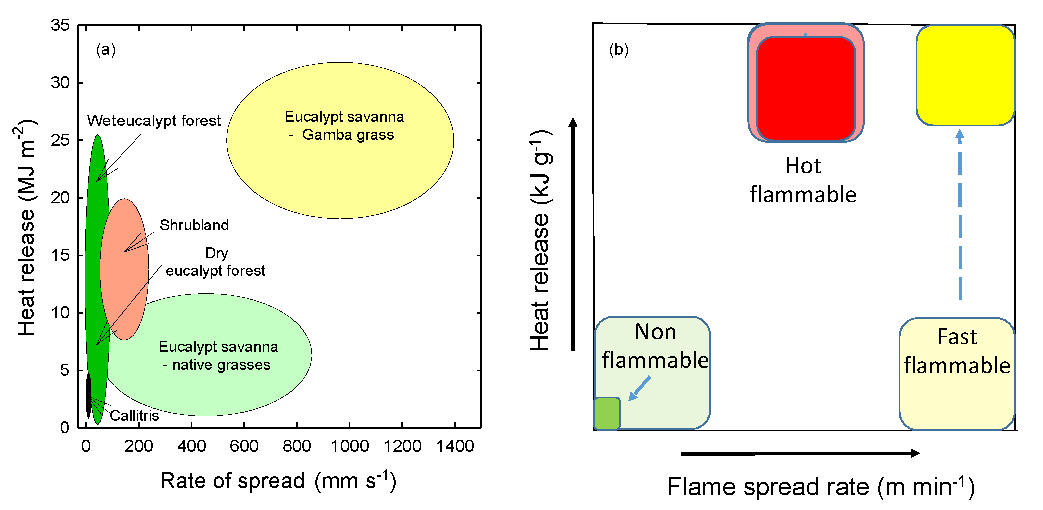 Fire 01 00014 g006