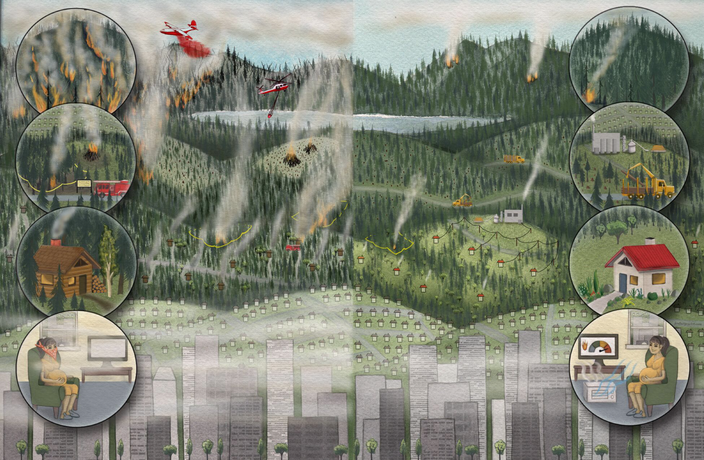 Fire 01 00027 g004 Fire 01 00027 g004