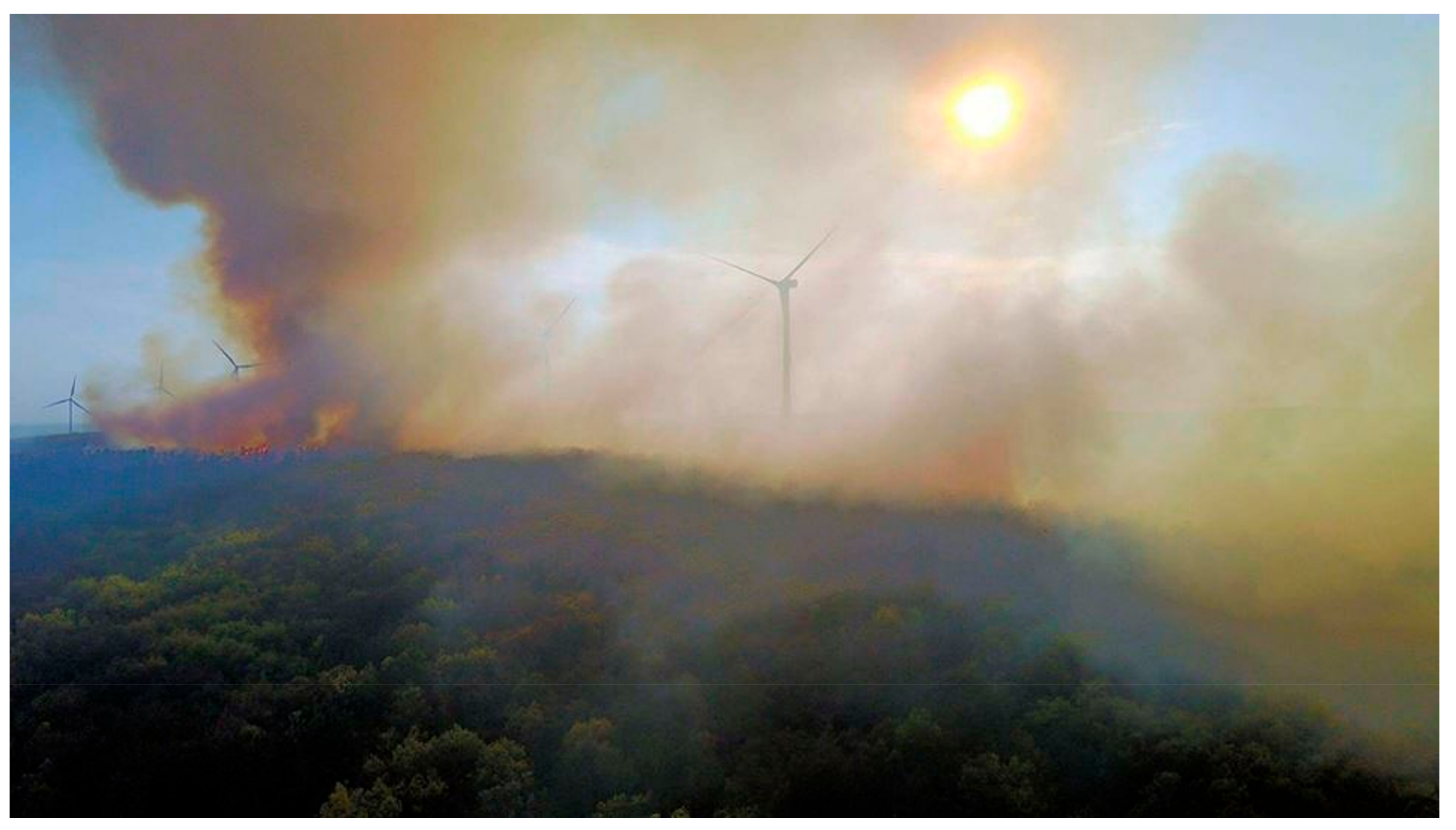 Fire 01 00033 g008 Fire 01 00033 g008