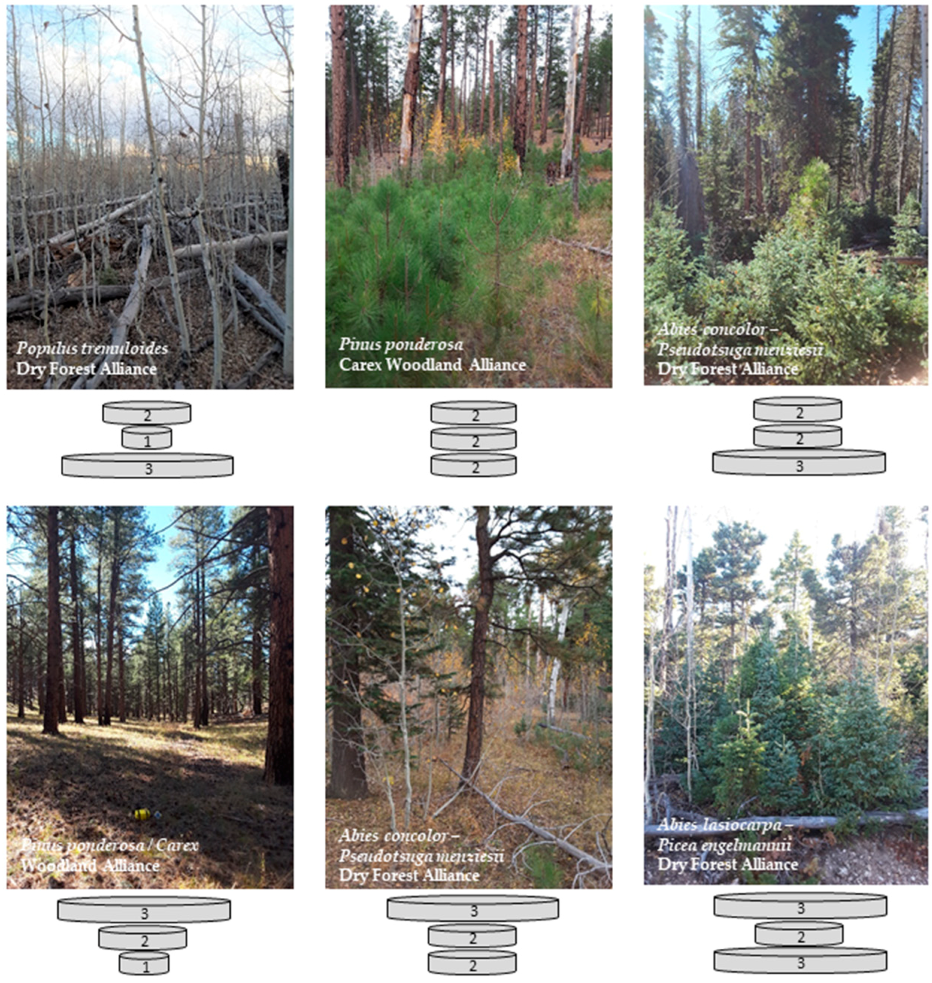 Fire 02 00010 g001 Fire 02 00010 g001