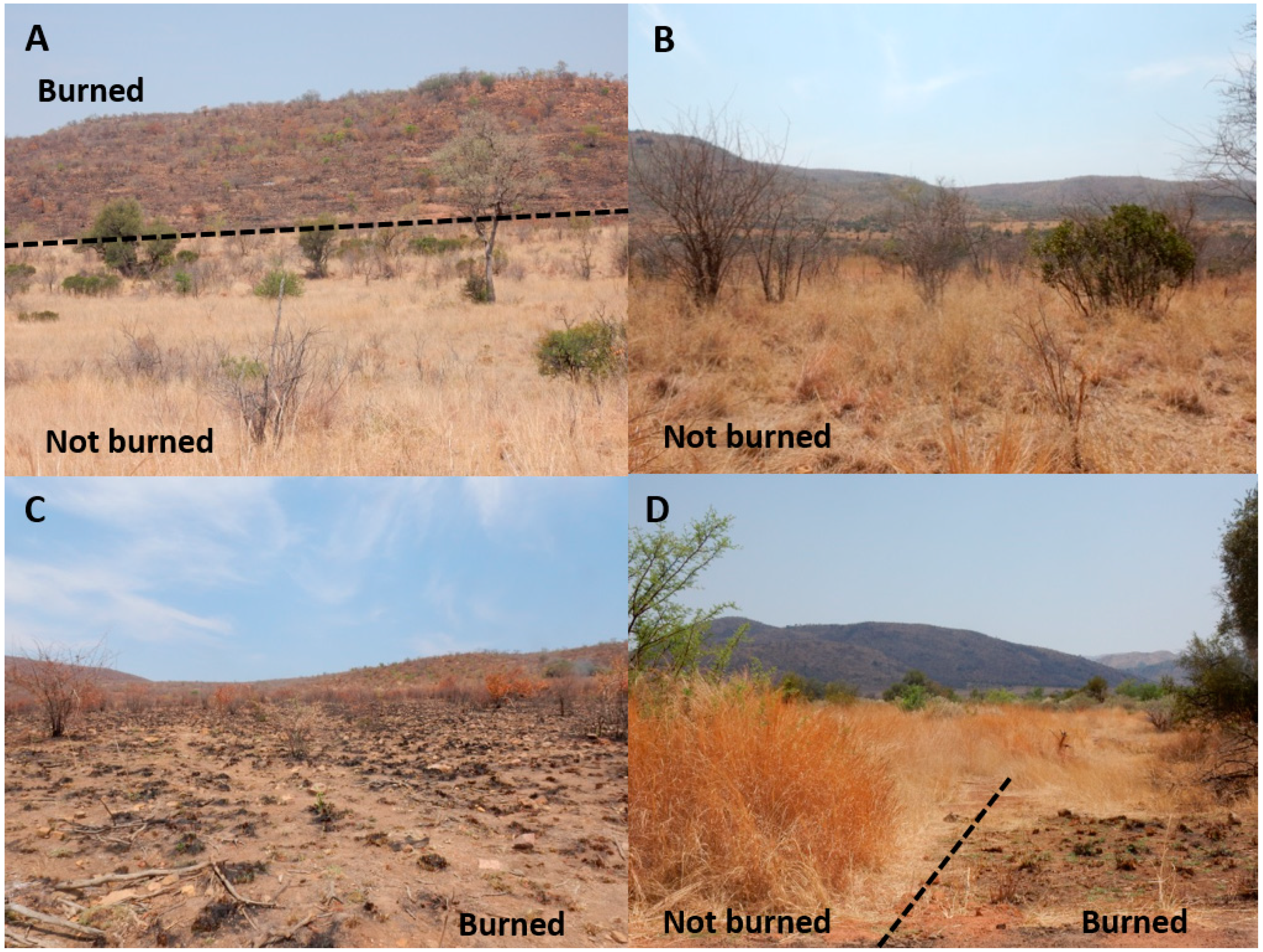 Fire 02 00037 g002 Fire 02 00037 g002