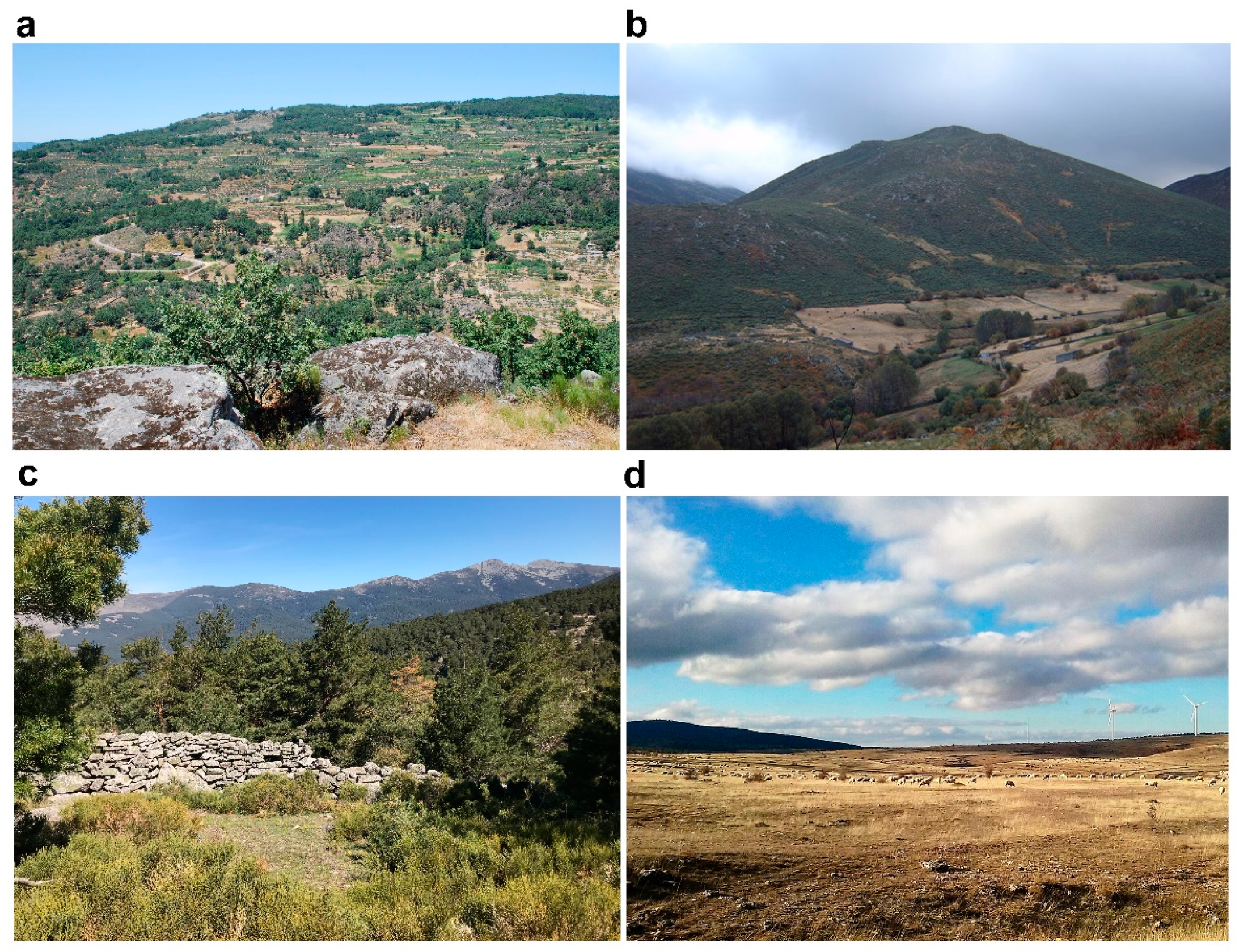 Fire 02 00044 g012 Fire 02 00044 g012