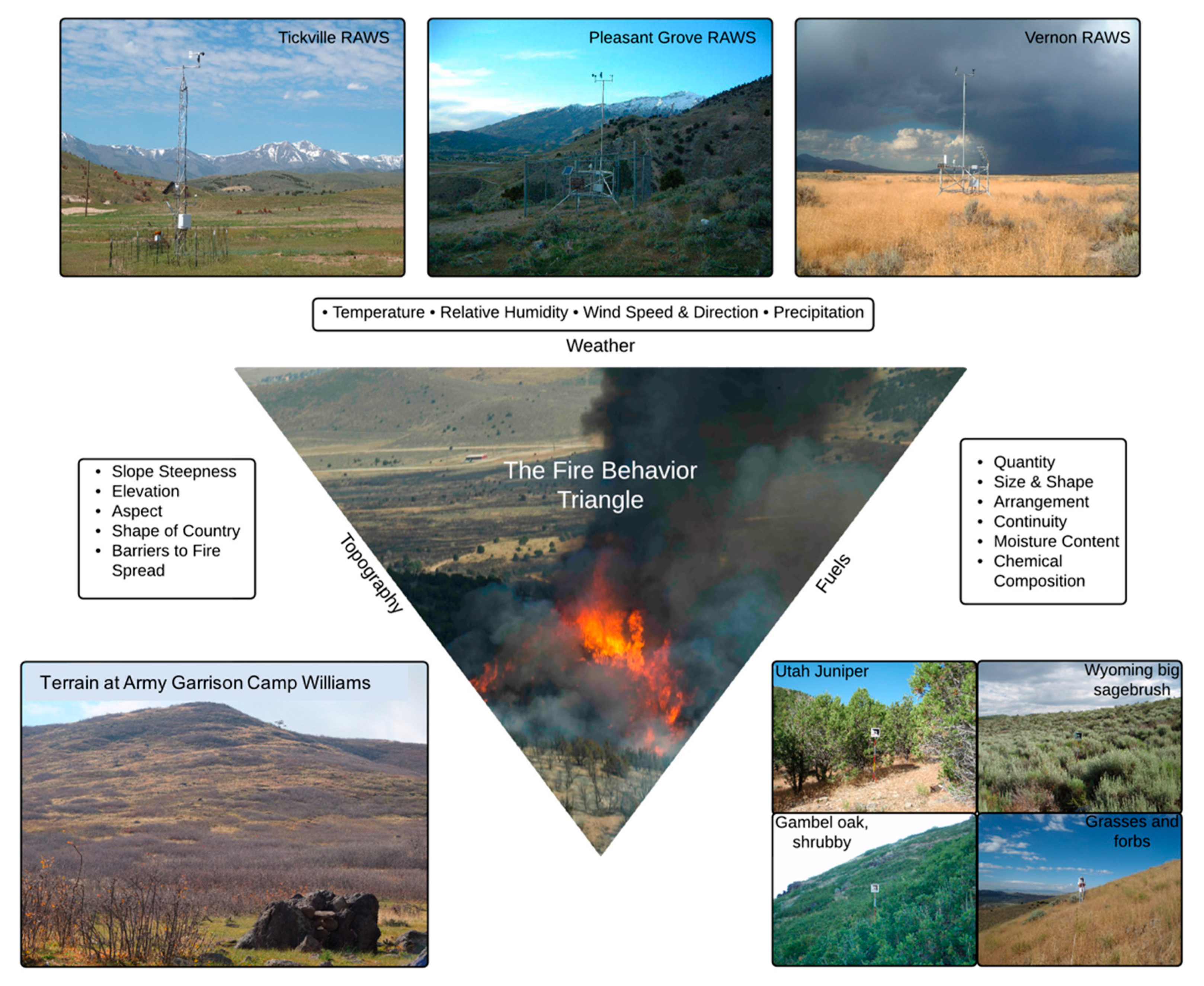 Fire 03 00006 g001 Fire 03 00006 g001