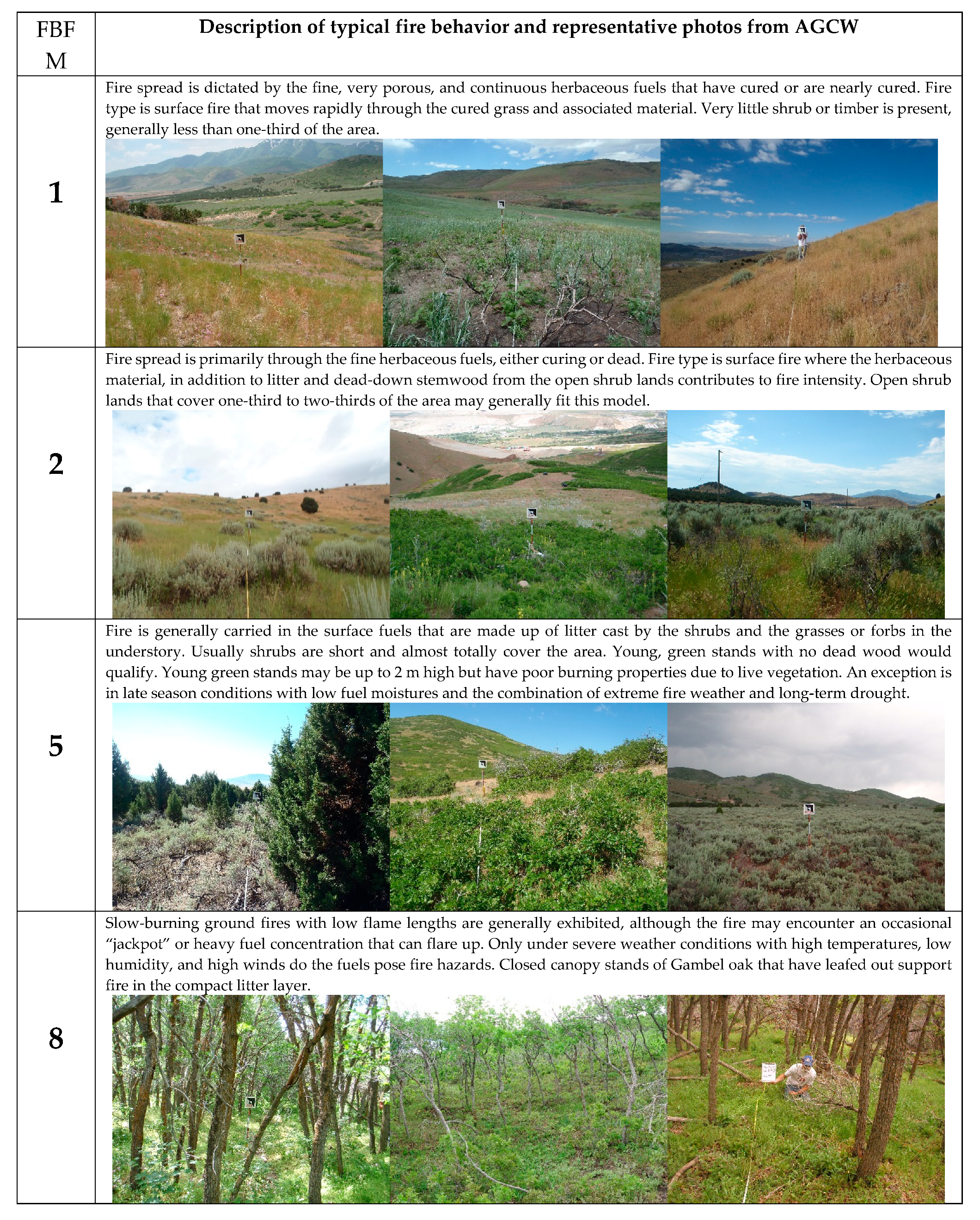 Fire 03 00006 g0a2 Fire 03 00006 g0a2