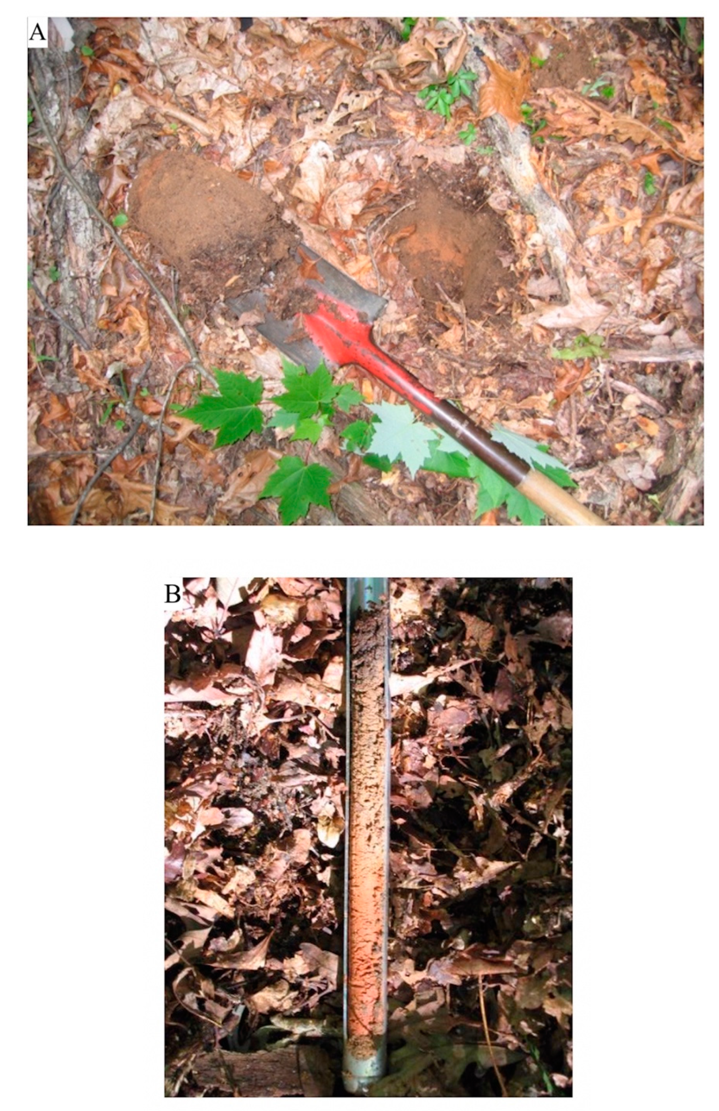 Fire 03 00020 g003 Fire 03 00020 g003