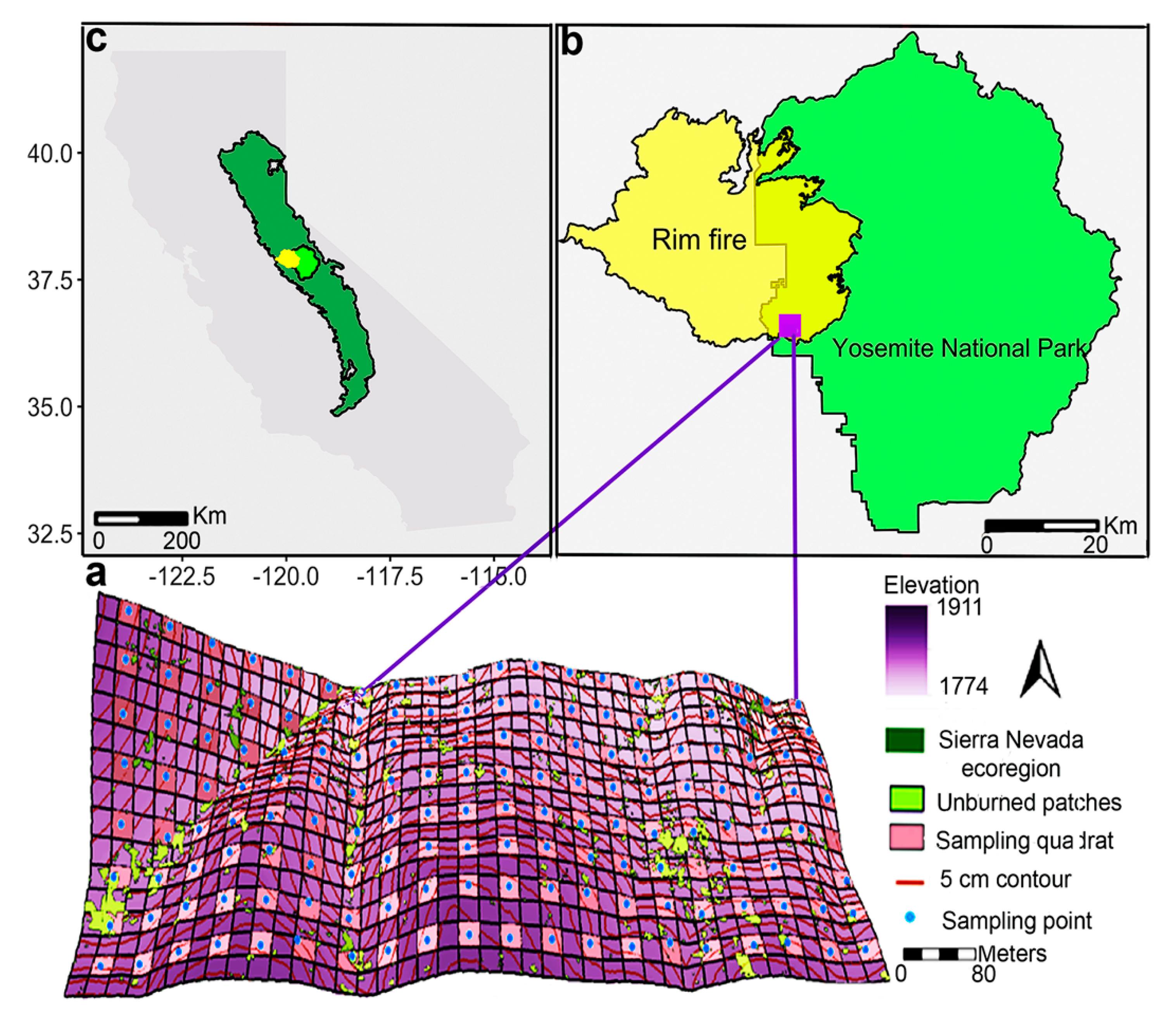 Fire 03 00054 g001 Fire 03 00054 g001
