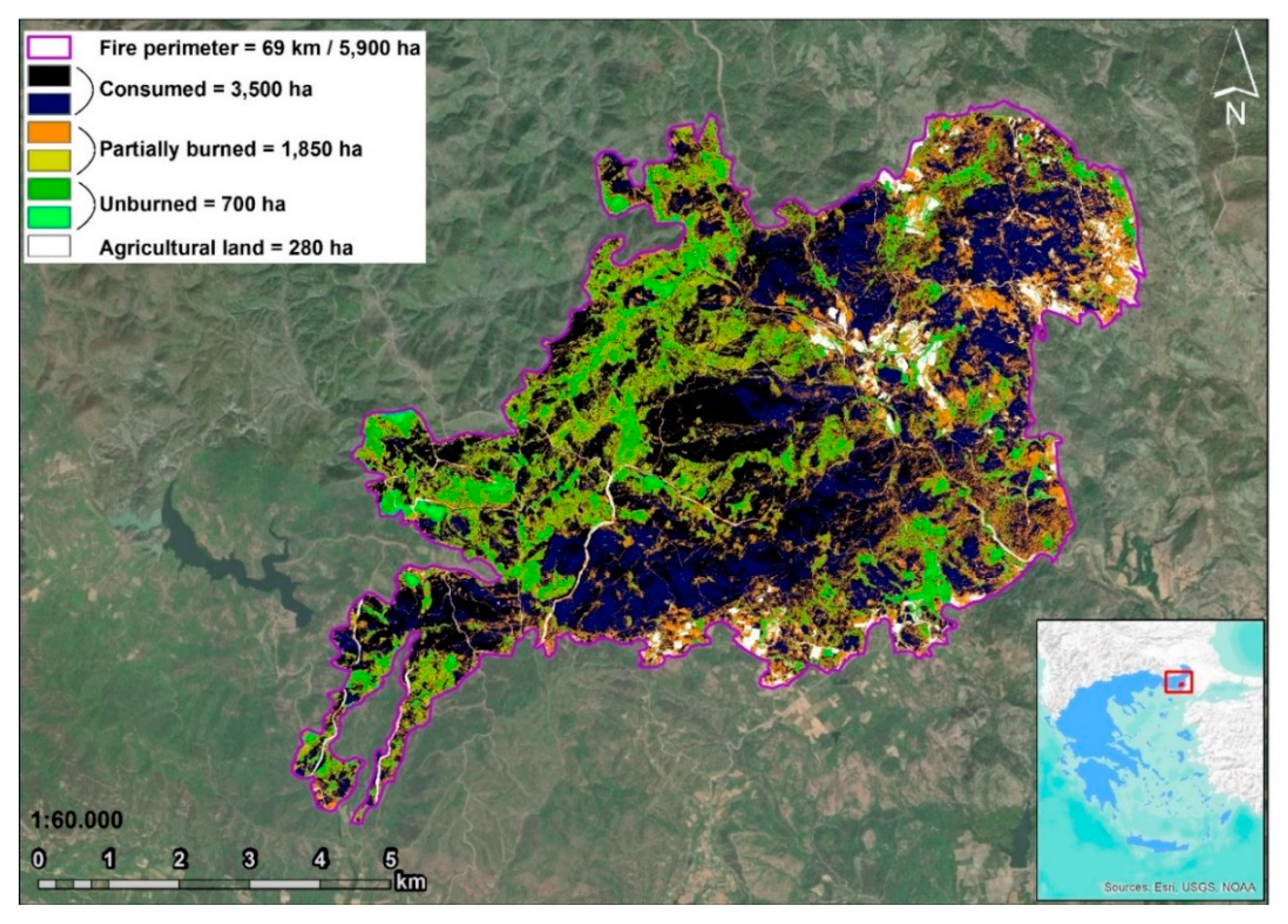 Fire 03 00063 g003 Fire 03 00063 g003