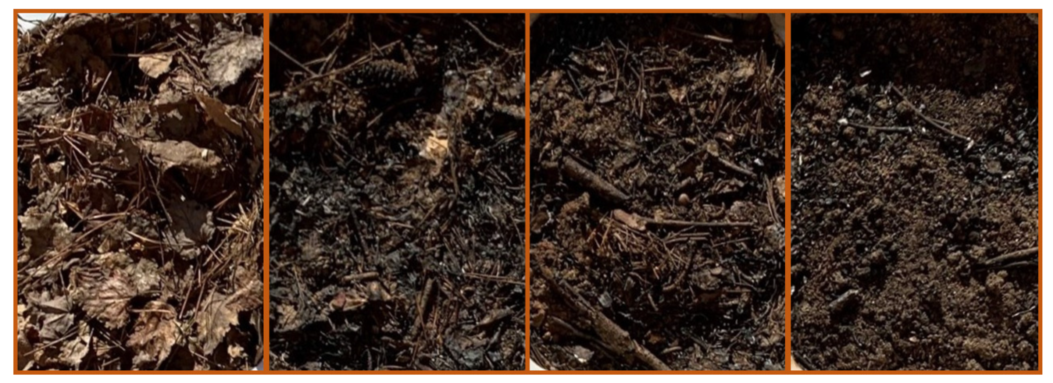 Fire 03 00064 g001 Fire 03 00064 g001