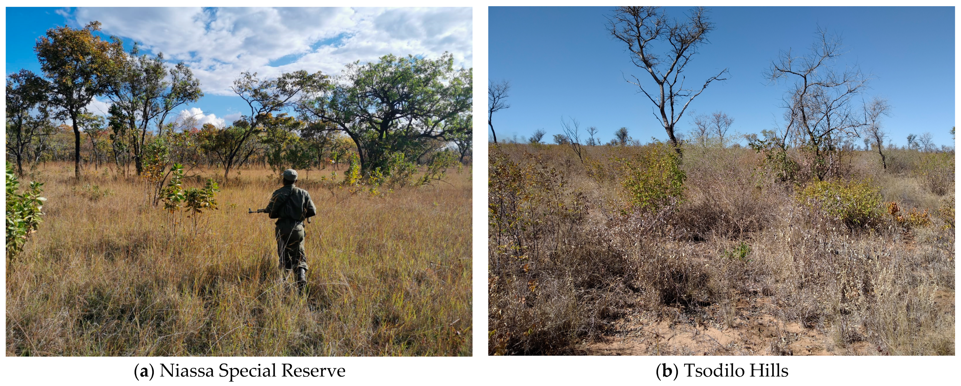 Fire 04 00002 g002 Fire 04 00002 g002