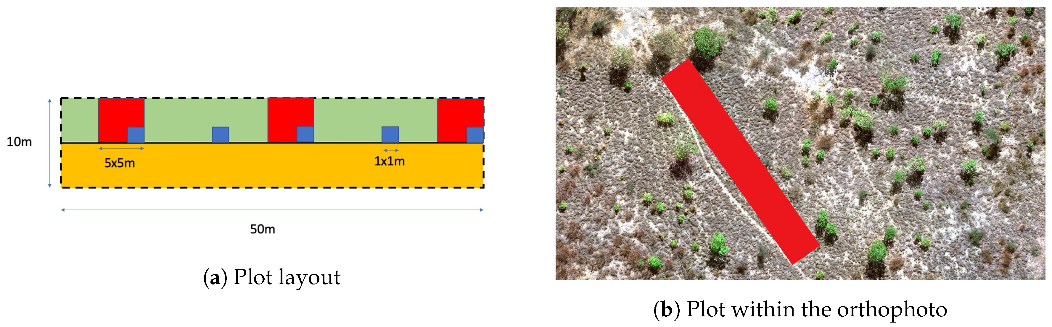 Fire 04 00002 g005 Fire 04 00002 g005