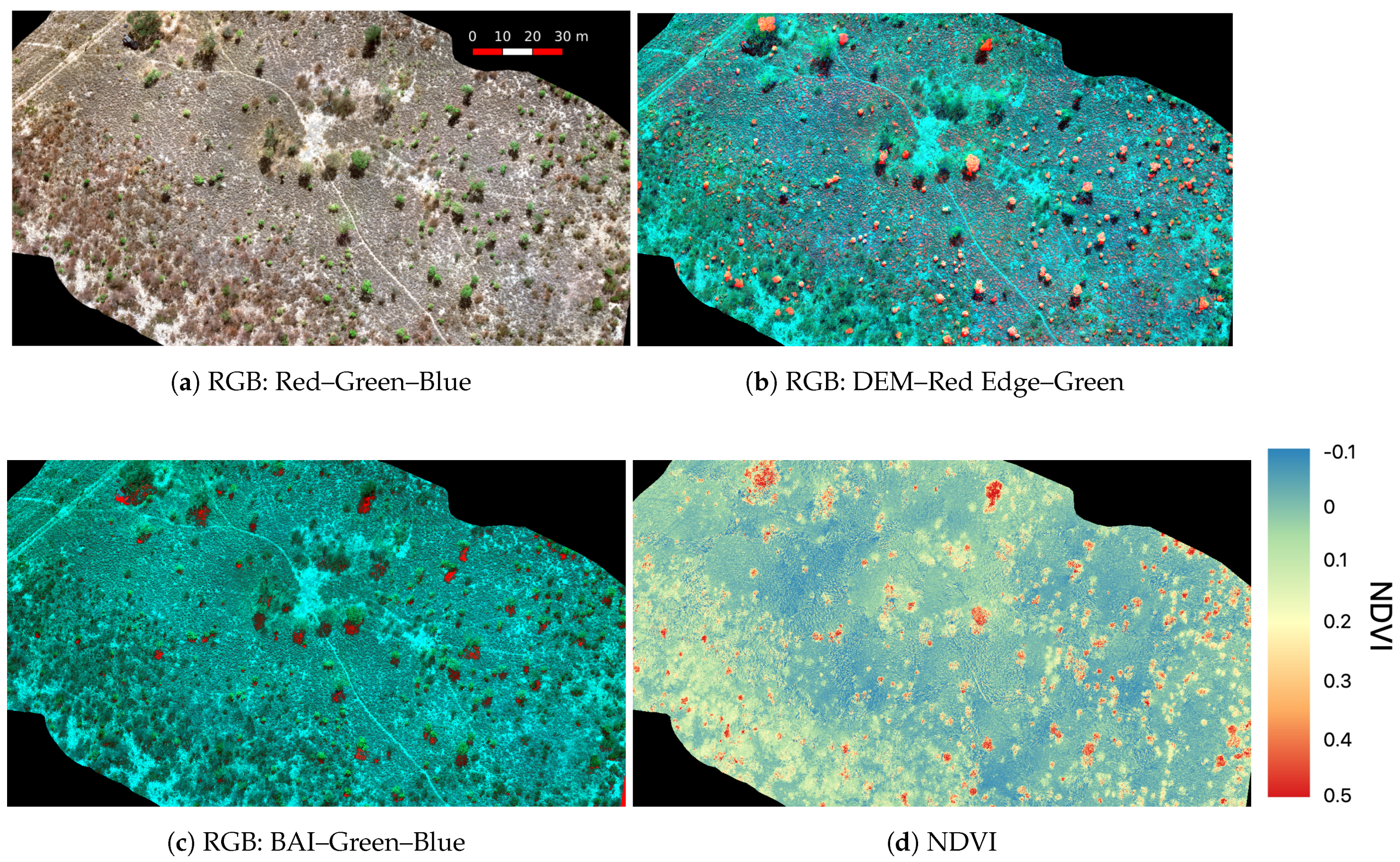 Fire 04 00002 g006 Fire 04 00002 g006