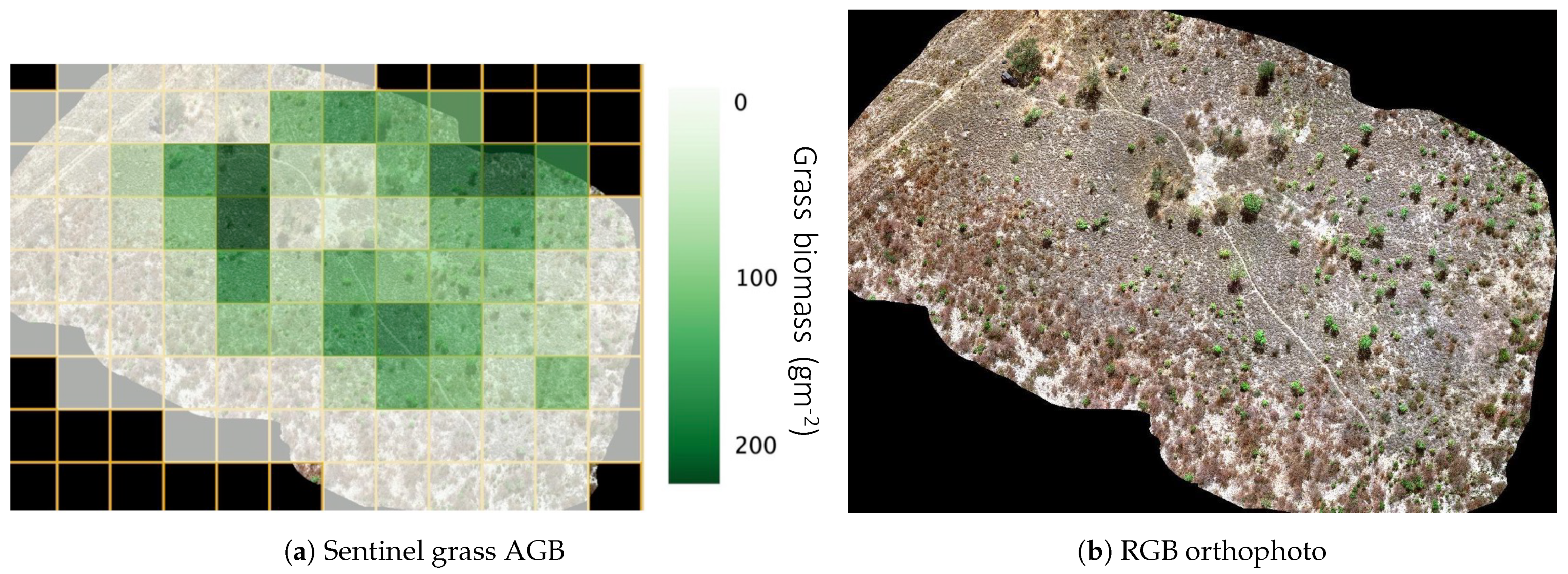 Fire 04 00002 g012 Fire 04 00002 g012