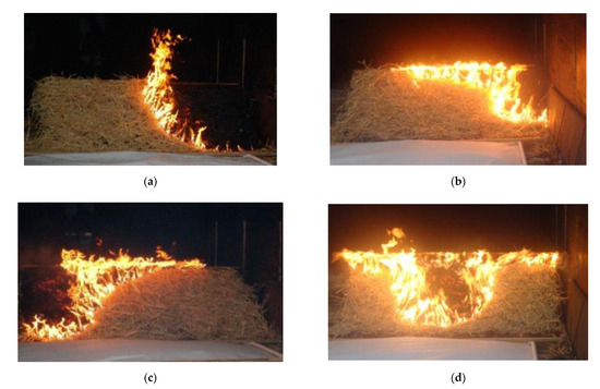 Fire An Open Access Journal From Mdpi