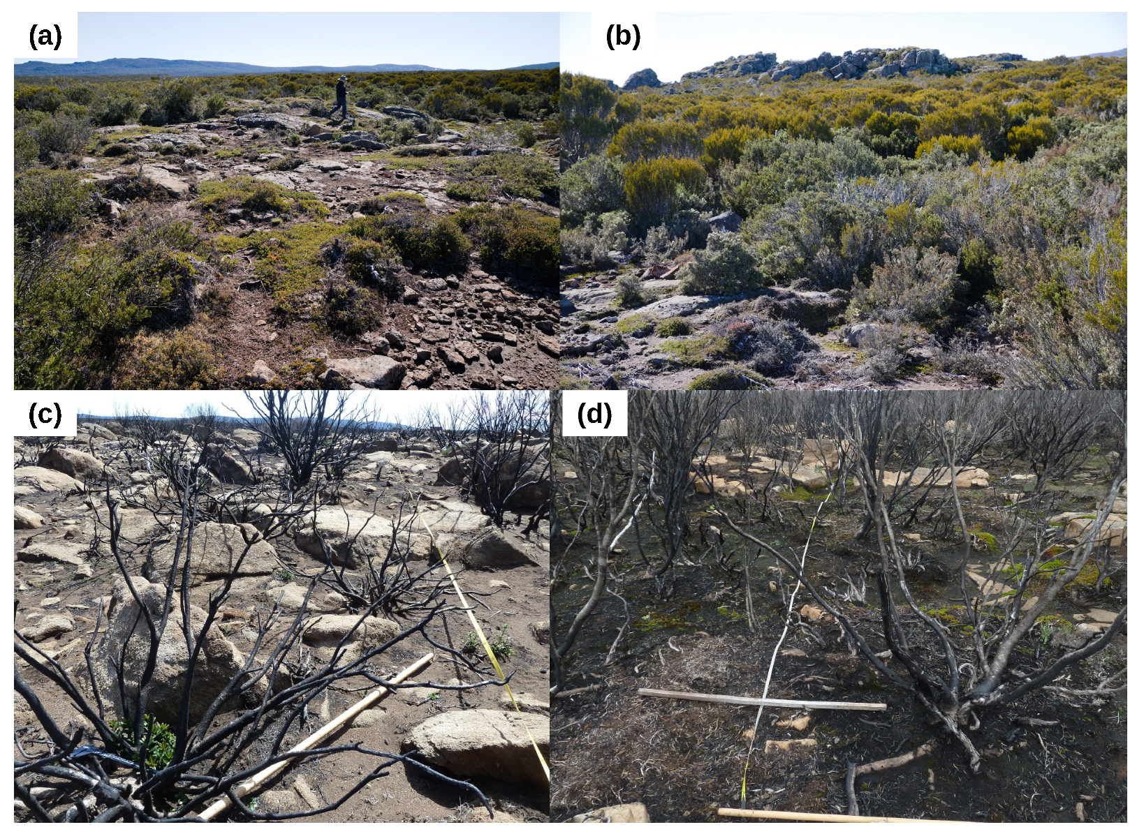 Fire 04 00032 g004 550