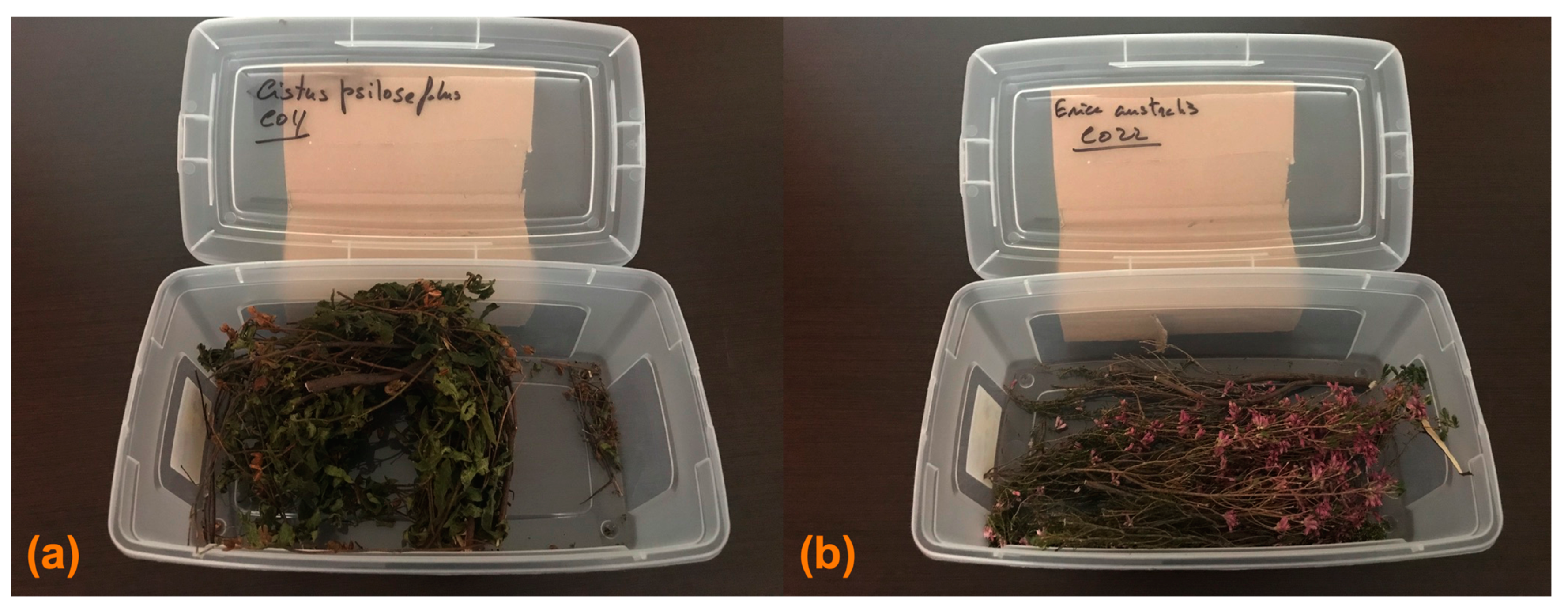 Fire 04 00033 g002 550