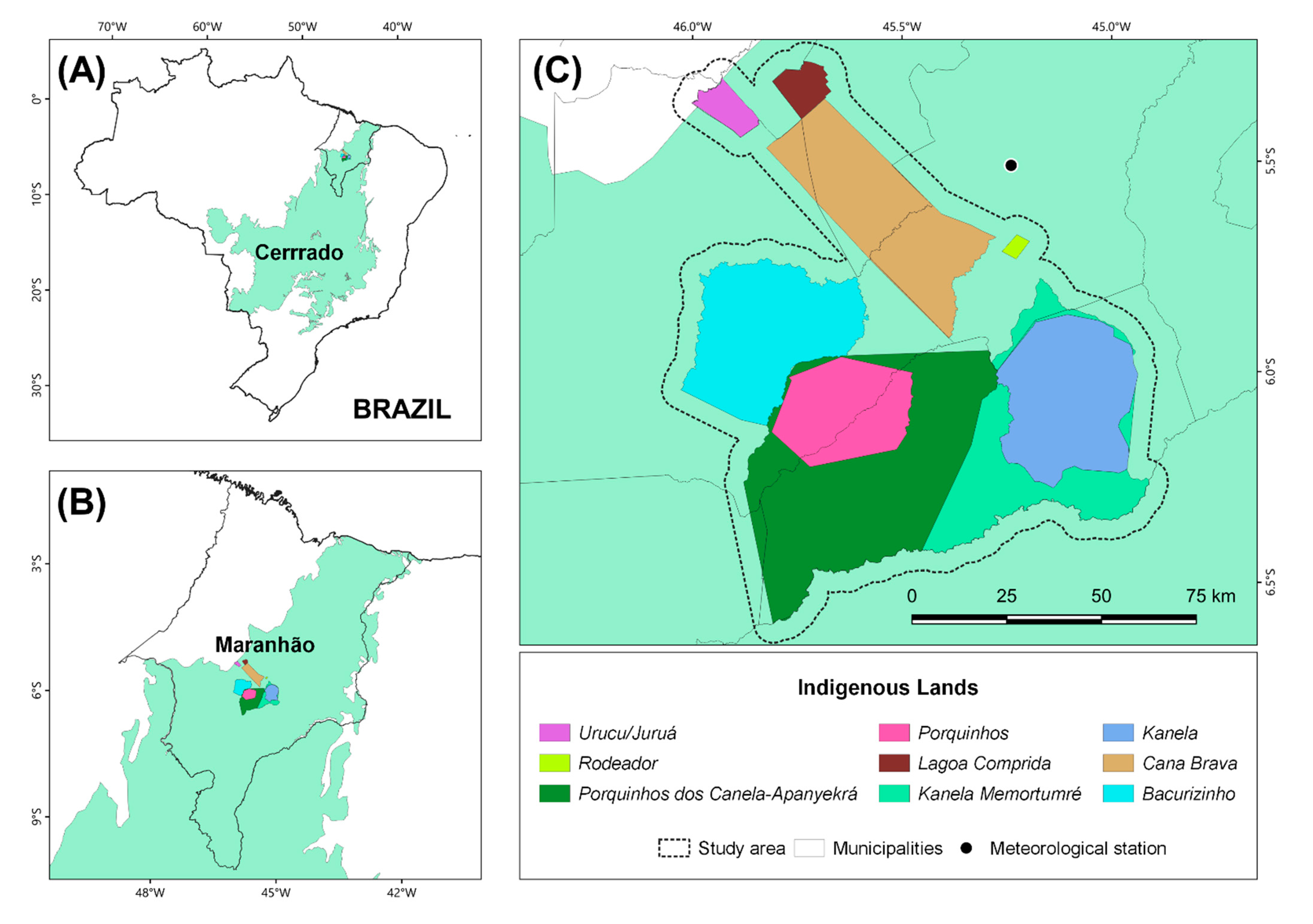 The Air is Unbearable”: Health Impacts of Deforestation-Related Fires in  the Brazilian