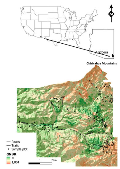 Green Lv Bonnet  Natural Resource Department