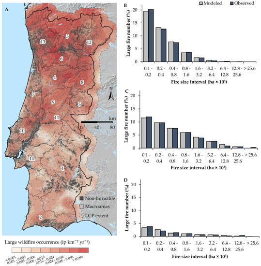 Mapa europa portugal - NAVARRA INFORMACIÓN