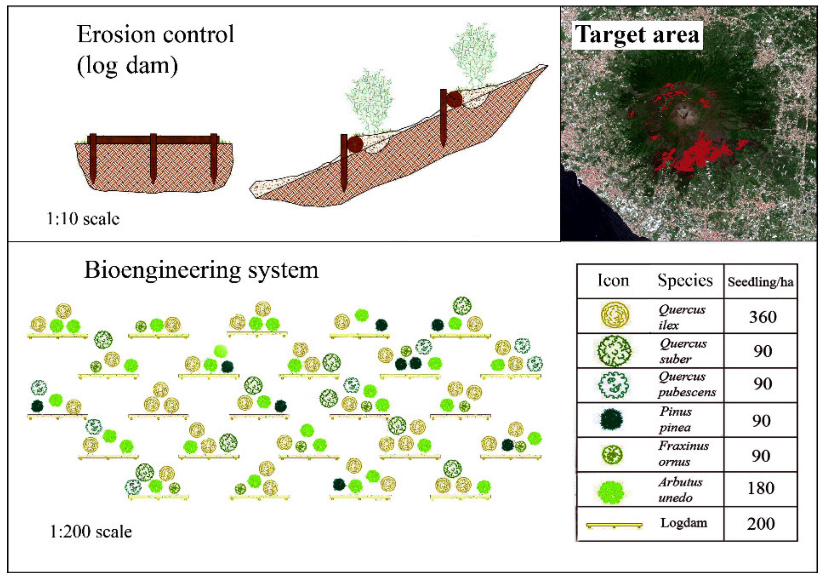 Fire 04 00095 g004 550