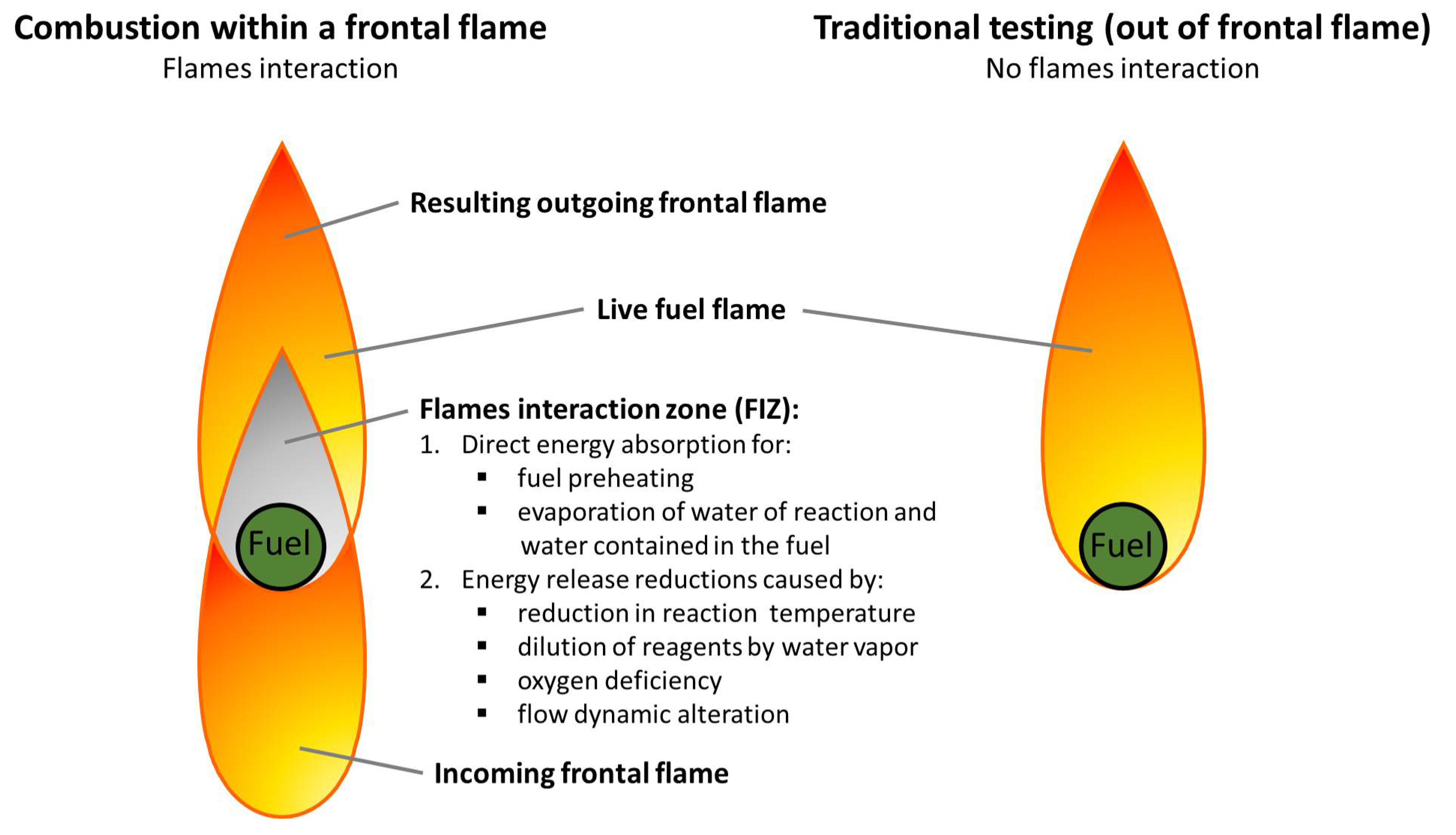 Fire Free Full-Text New In-Flame Flammability Testing Method Applied to Monitor Seasonal Changes in Live Fuel