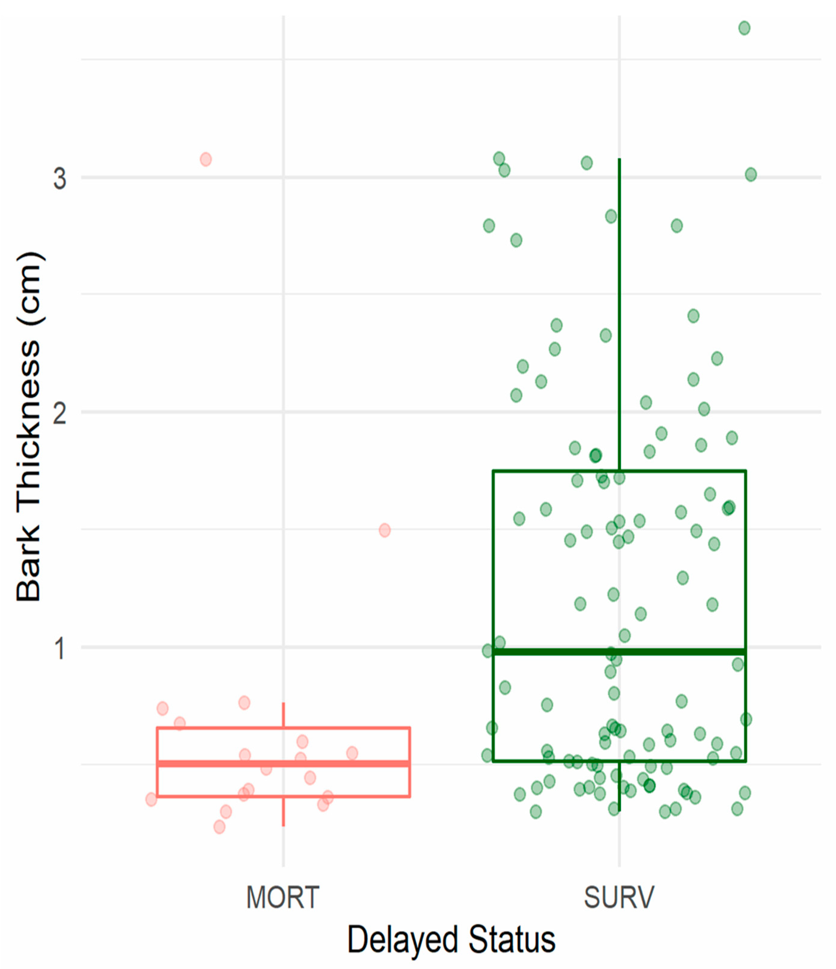 Fire 05 00021 g0a1 550