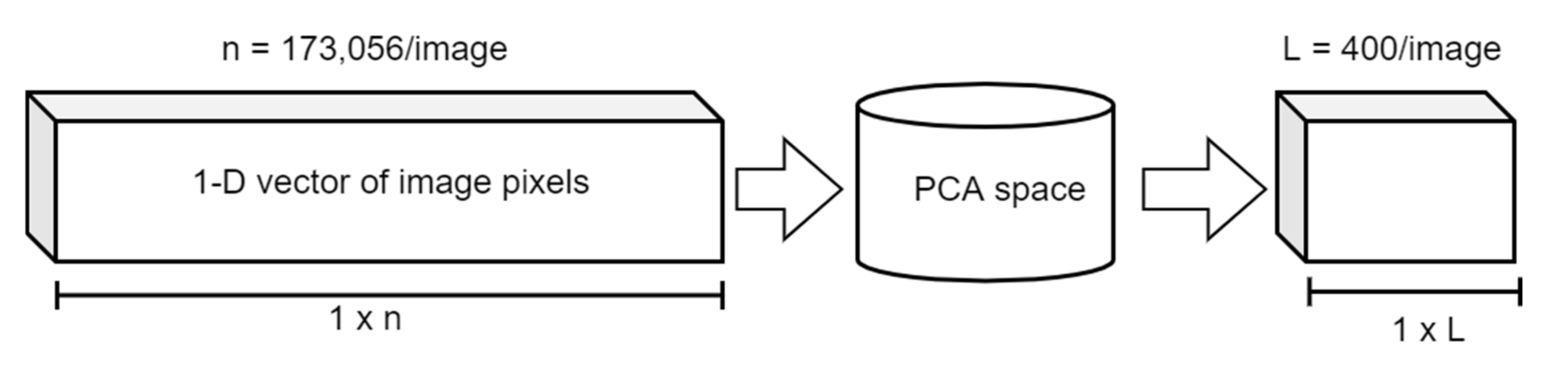 Fire 05 00040 g003 550