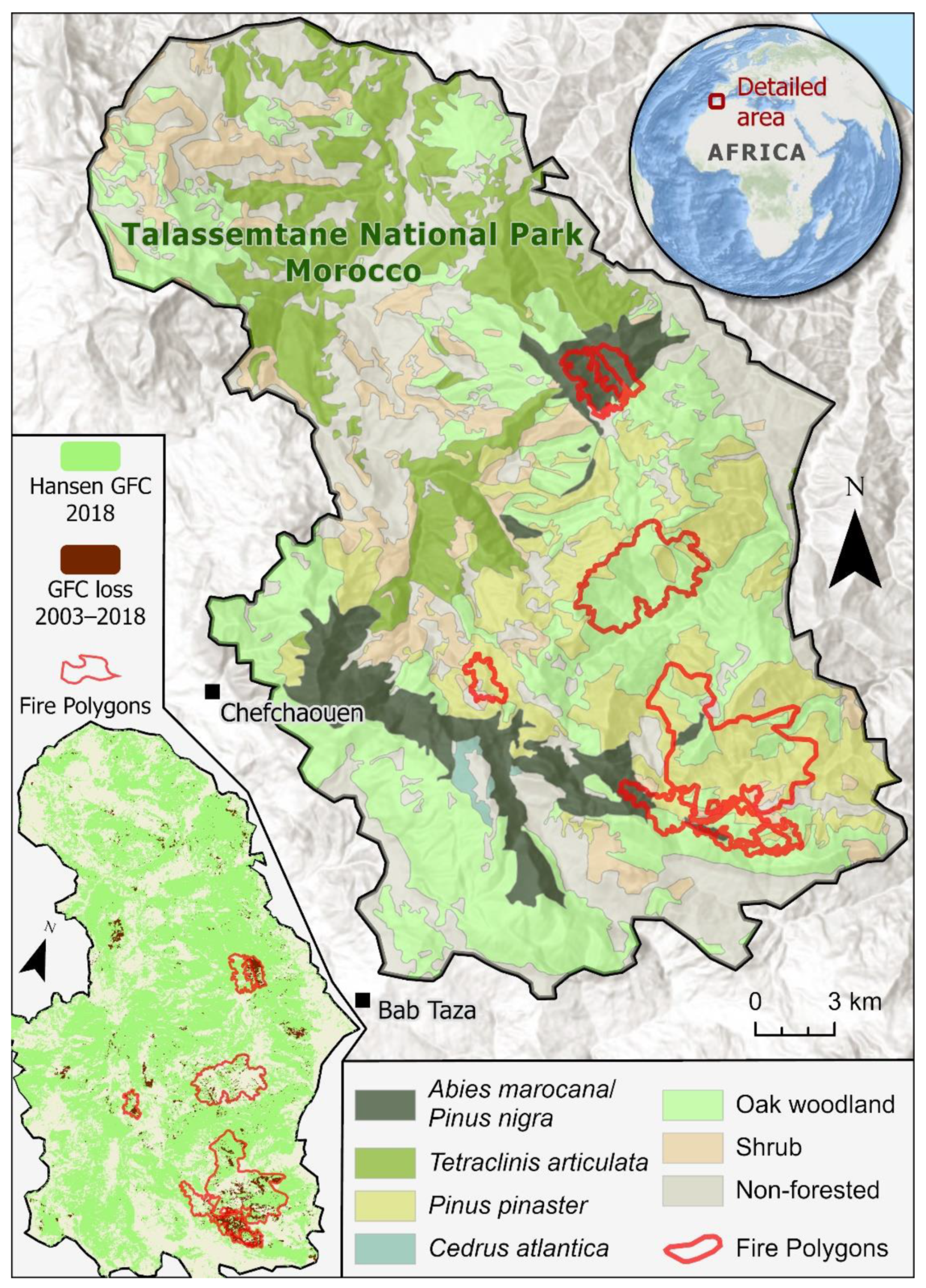 Fire 05 00051 g001 Fire 05 00051 g001