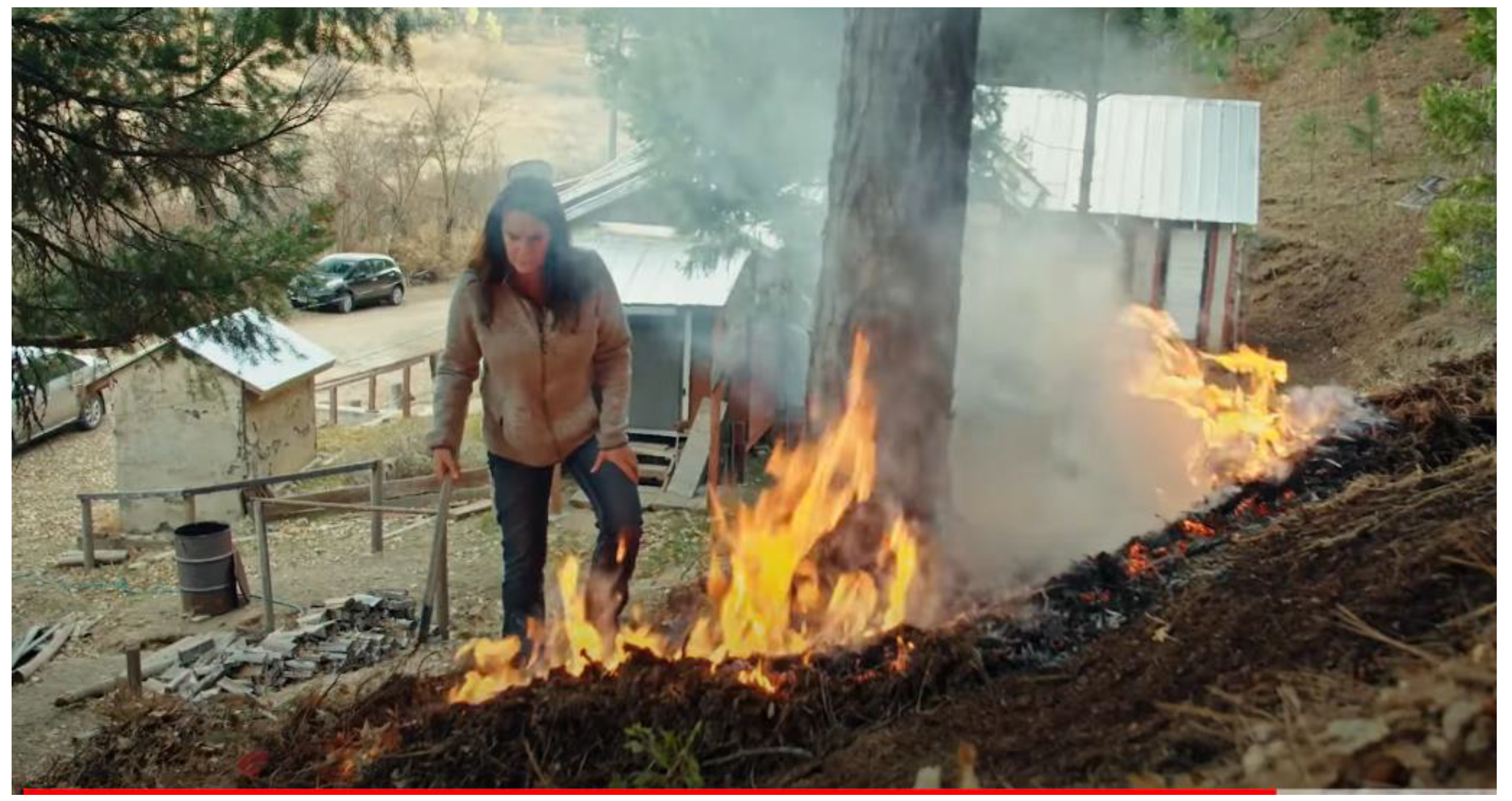 Fire 05 00053 g004 550