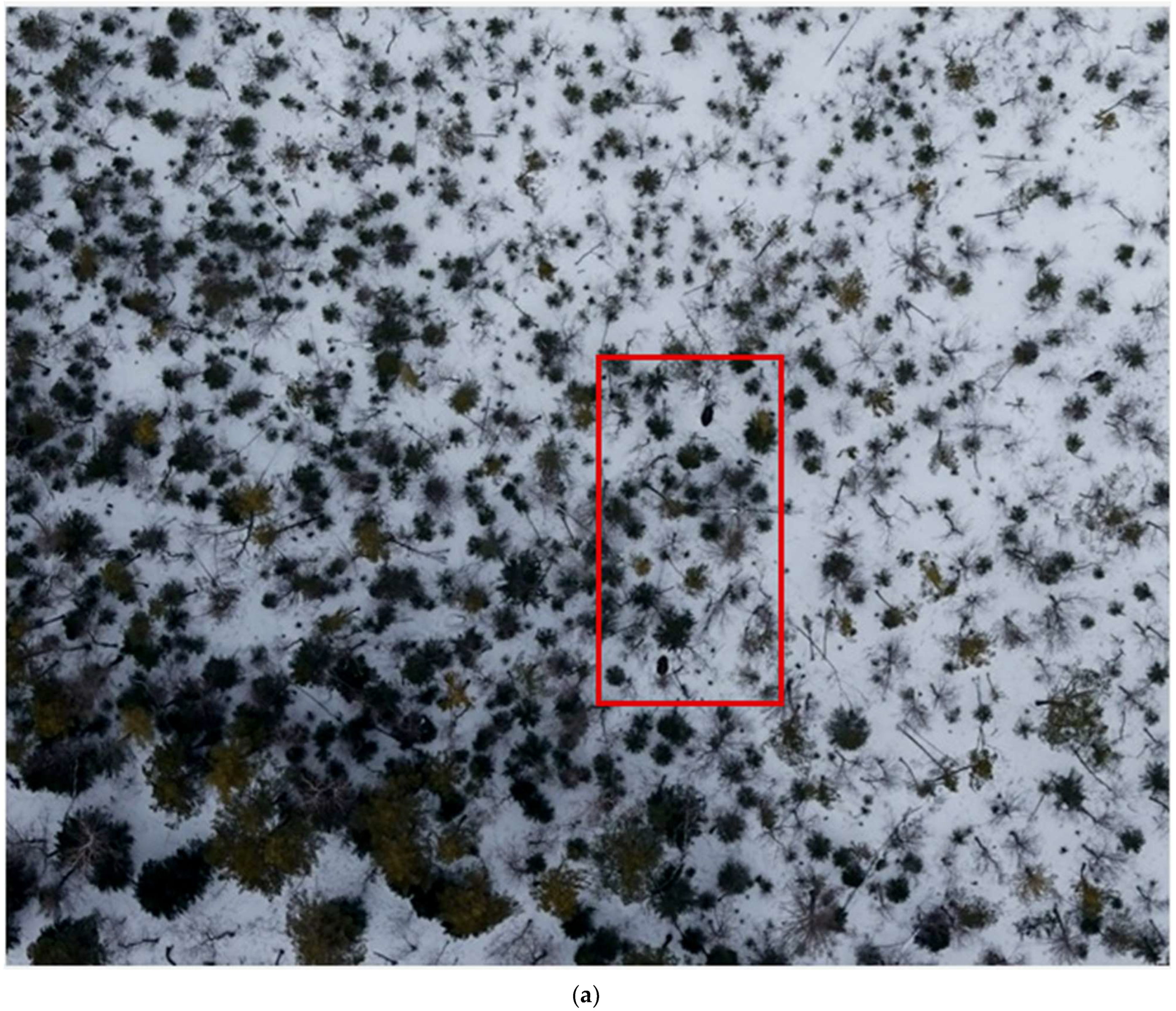 Fire 05 00060 g003a 550