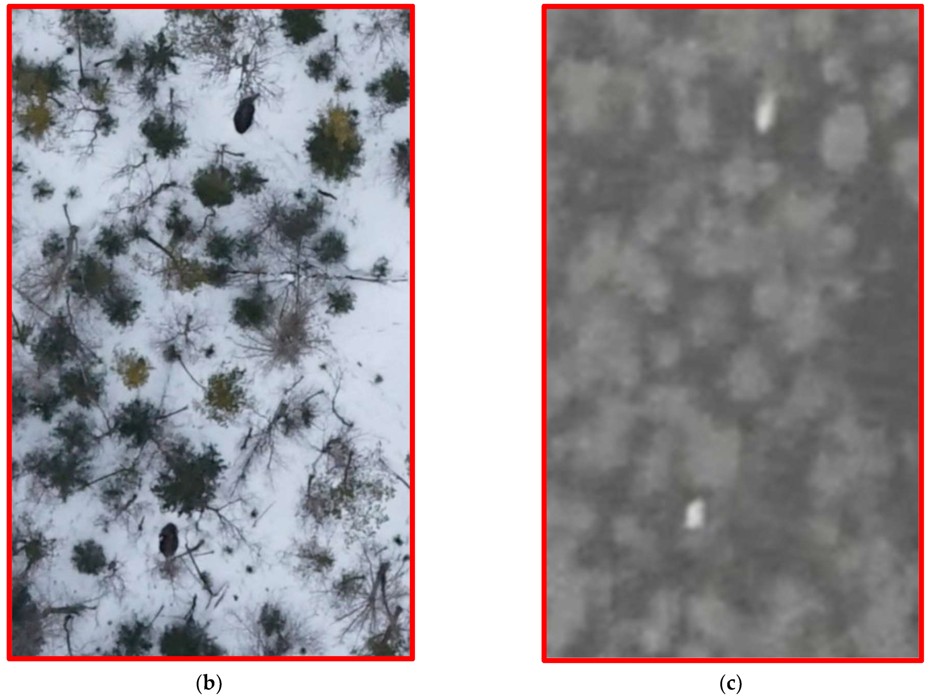 Fire 05 00060 g003b 550