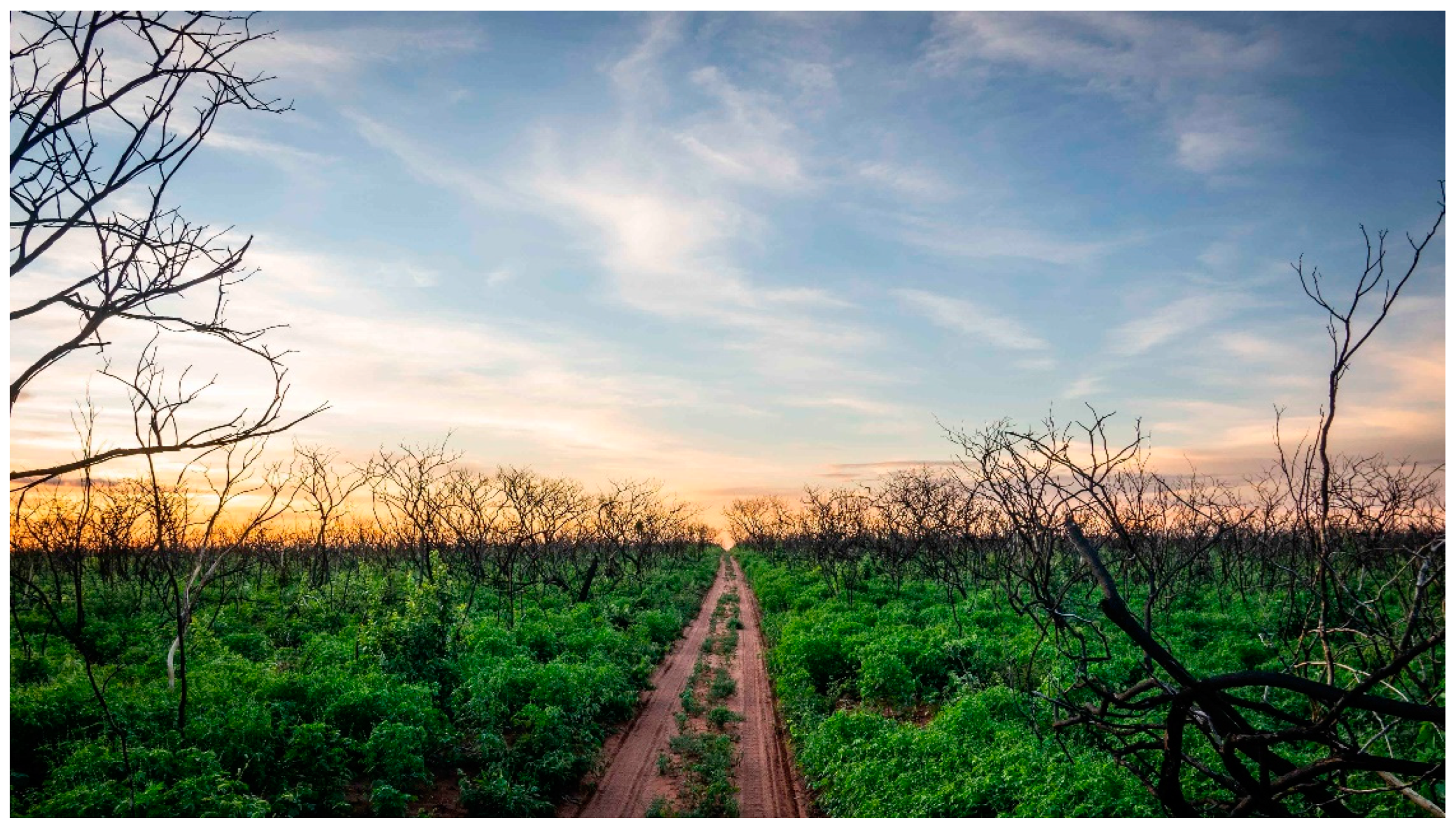 Fire 05 00070 g002 550