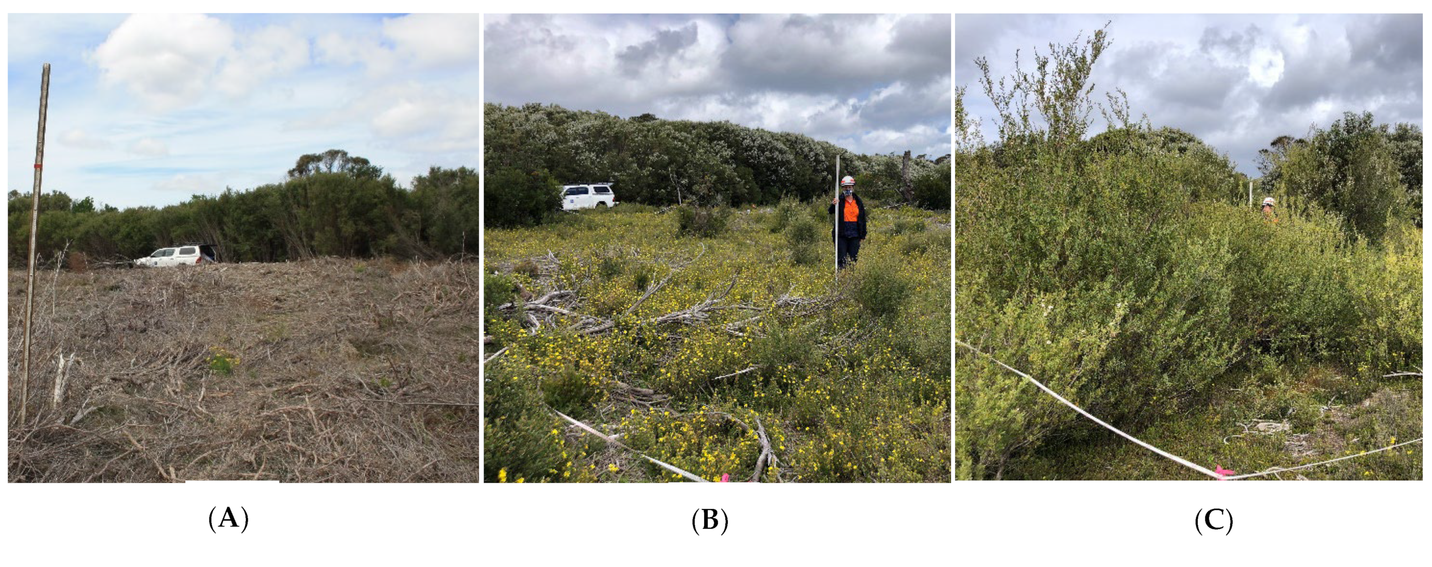 Fire 05 00076 g002 550