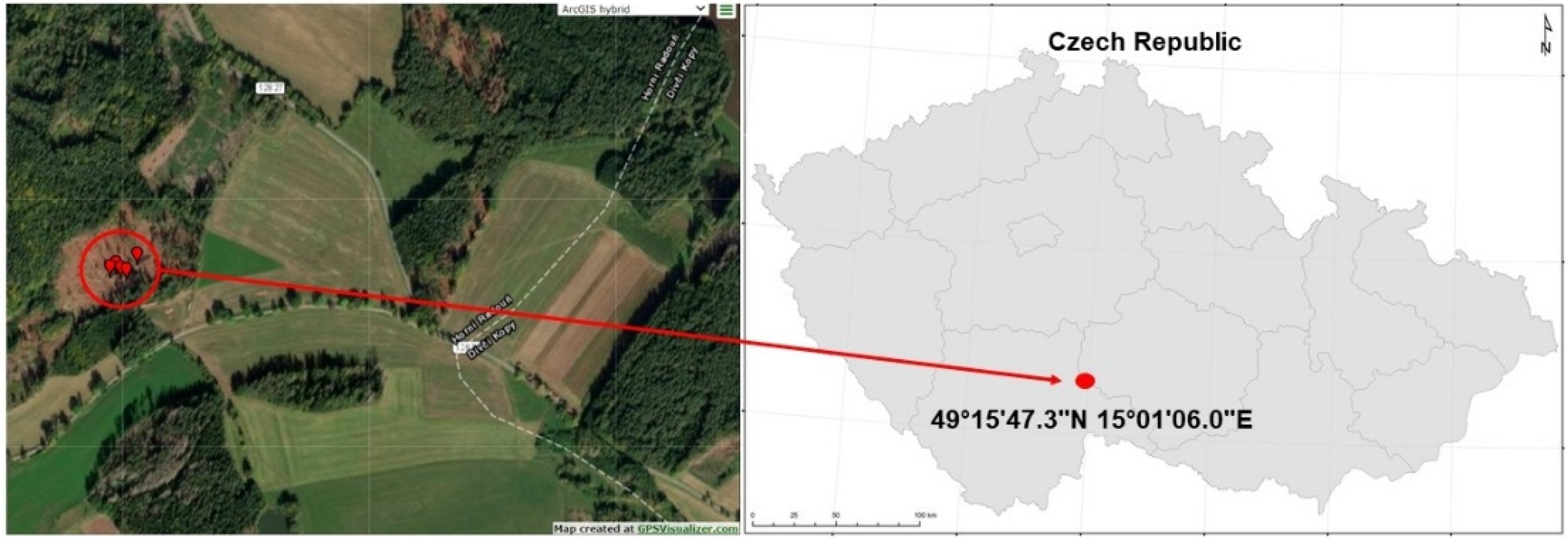 Fire 05 00082 g002 550