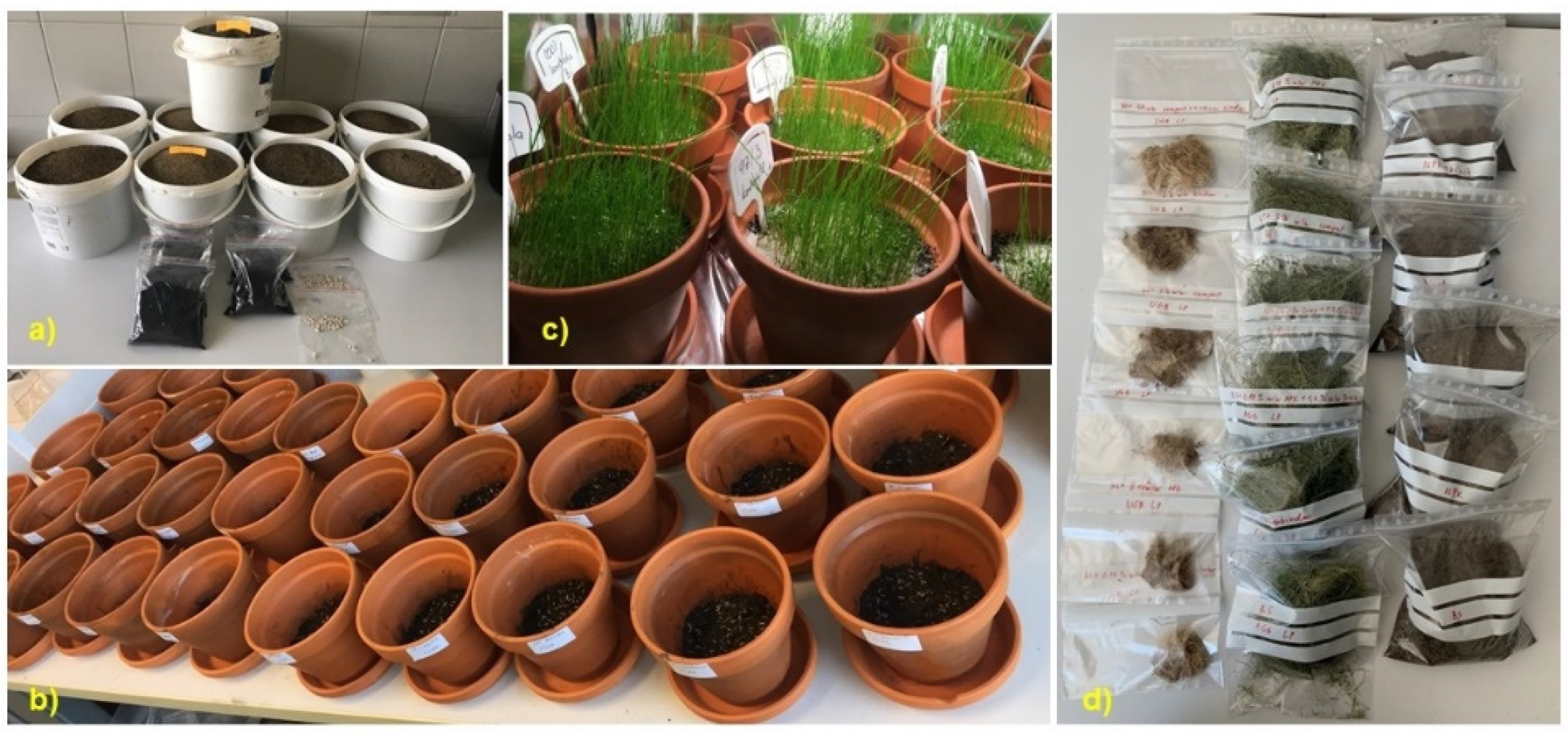 Fire 05 00082 g003 550